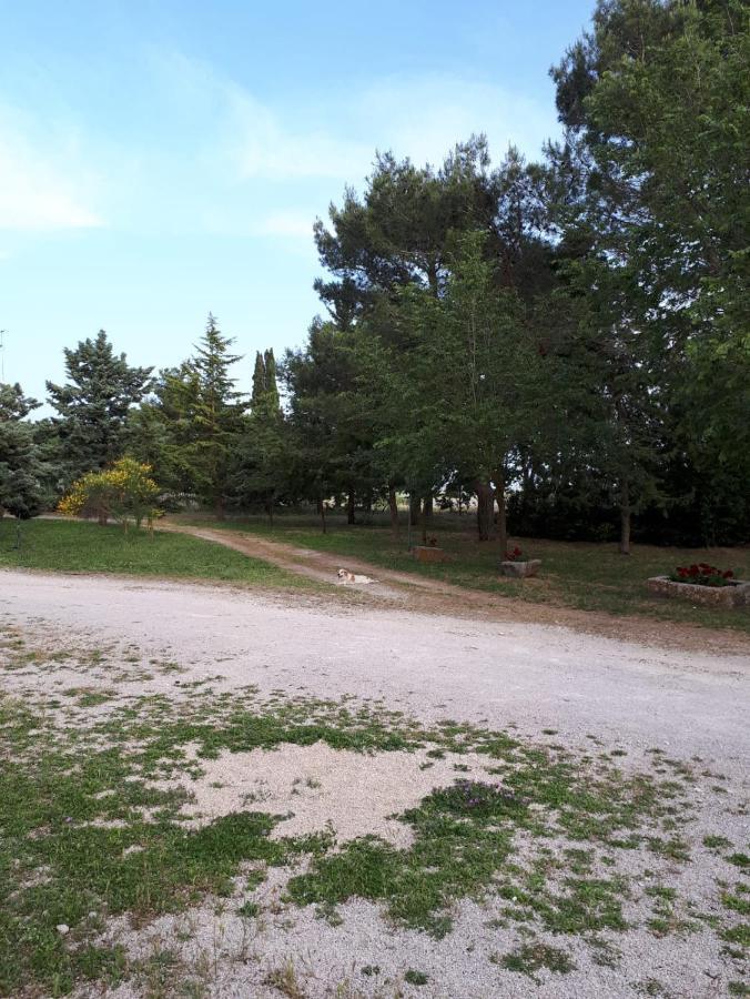 Il Casale Falagario Stacca Villa Altamura Exteriör bild